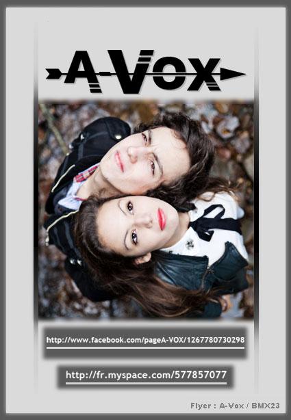 A-Vox Flyer